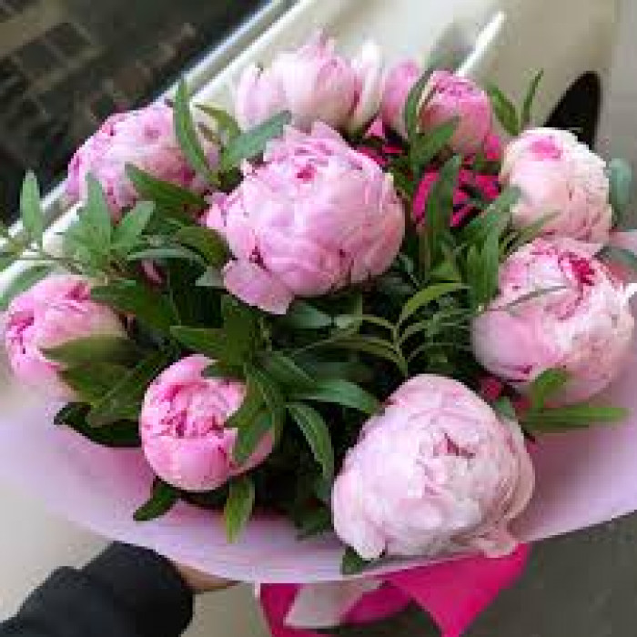 Пион древовидный в Усть-Каменогорске