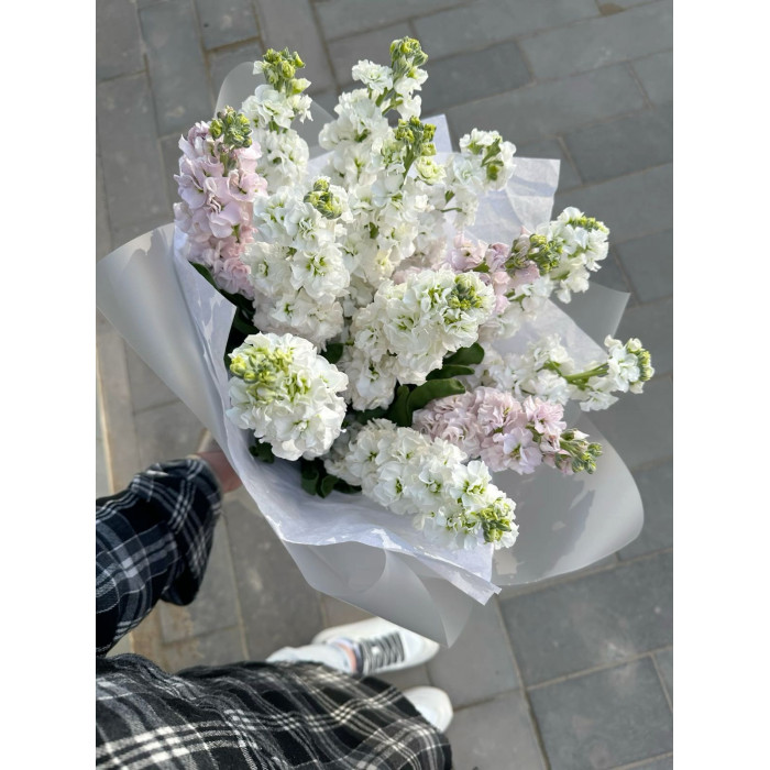 Маттиола в Усть-Каменогорске