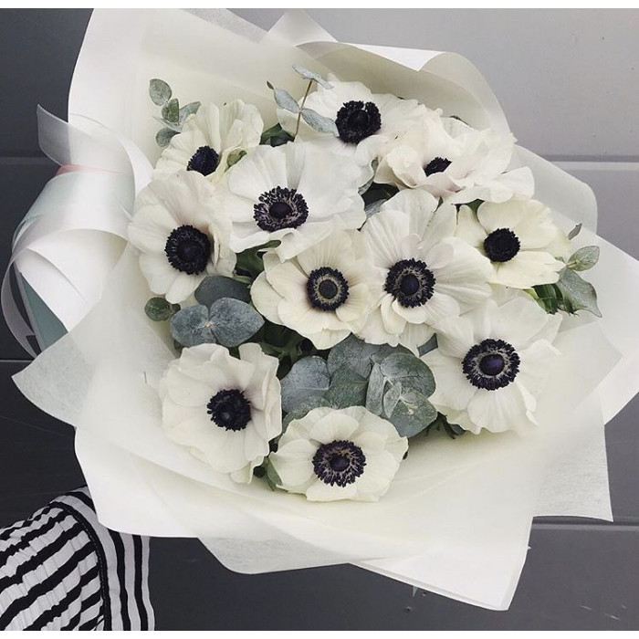 Анемоны в Усть-Каменогорске