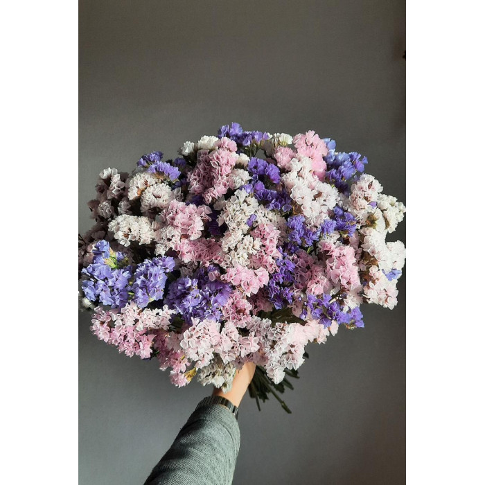 Статица (Лимониум) в Усть-Каменогорске