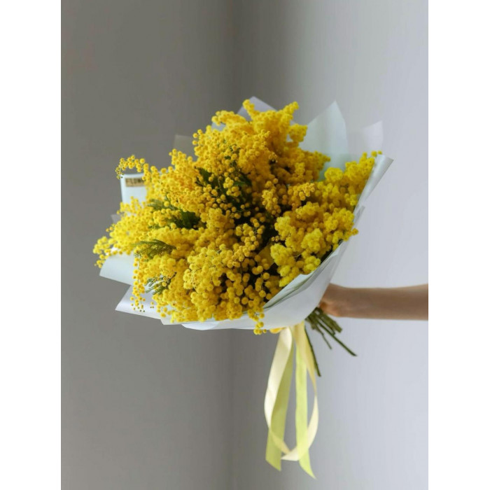 Мимоза в Усть-Каменогорске