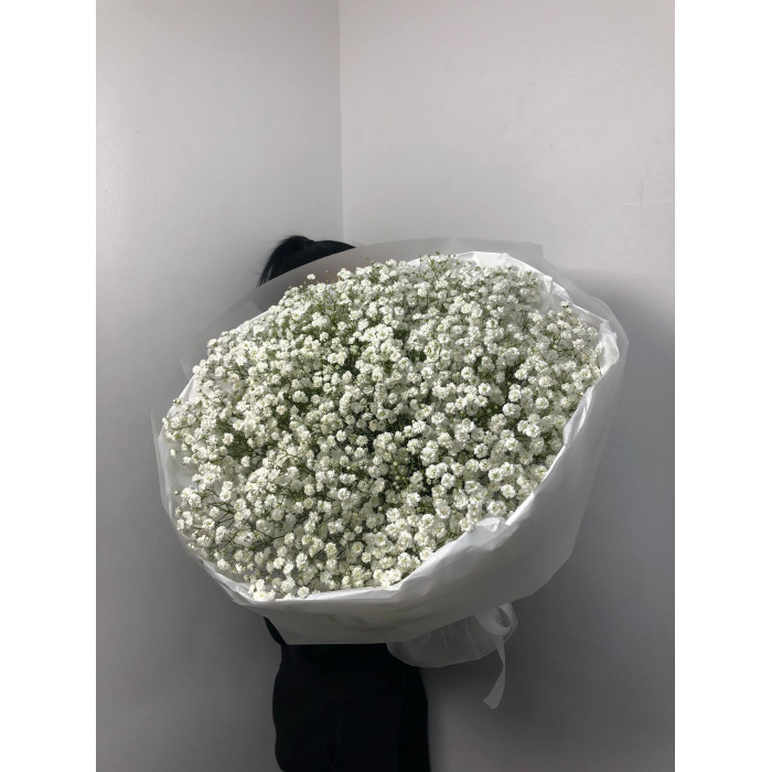 Гипсофила классическая в Усть-Каменогорске