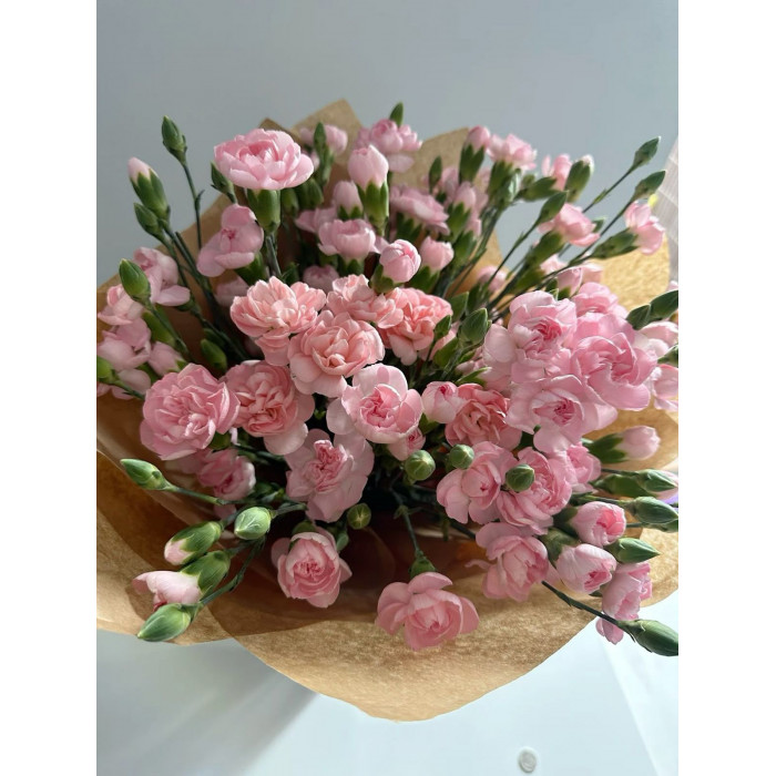 Кустовые гвоздики в Усть-Каменогорске