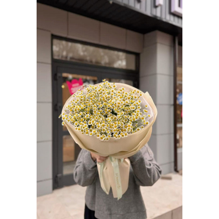 Танацетум в Усть-Каменогорске